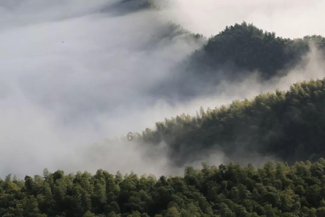 仙女座正撞向银河系，最快37亿年后，地球可能会被弹射出去