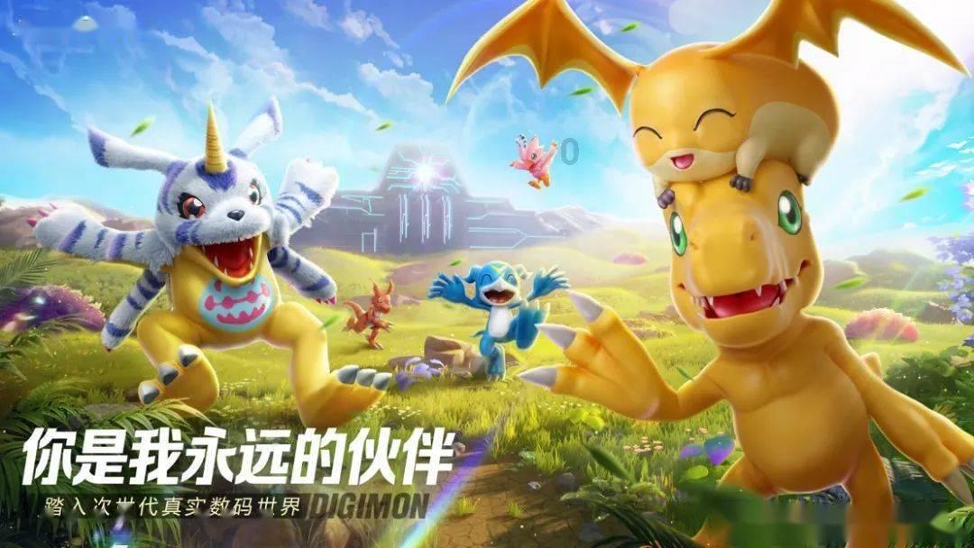 可怜猫的救援