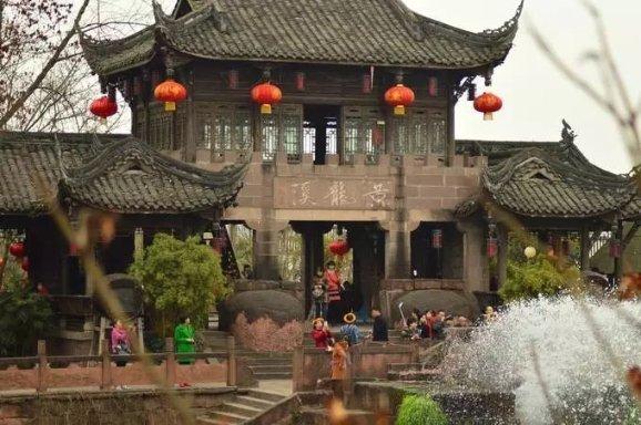 解救金刚鹦鹉